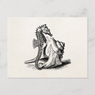 Cartão Postal Vintage Sea Horse Trumpet Shell Beach