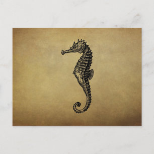 Cartão Postal Vintage Seahorse Illustration