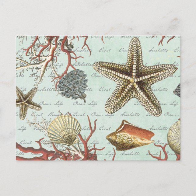 Cartão Postal Vintage Seashells...cartão postal (Frente)
