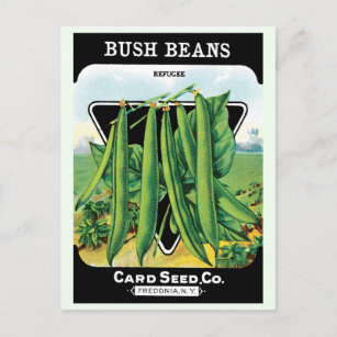 Cartão Postal Vintage Seed Packet Label Art, Bush Bean Vegggies