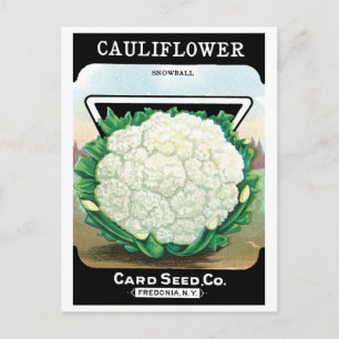 Cartão Postal Vintage Seed Packet Label Art, Cauliflower Veggies