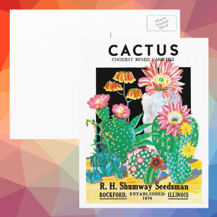 Cartão Postal Vintage Seed Packet Label Art Desert Cactus