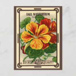Cartão Postal Vintage Seed Packet Label Art, Nasturtium Flowers