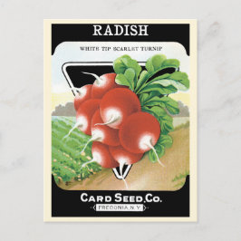 Cartão Postal Vintage Seed Packet Label Art, Scarlet Radishes