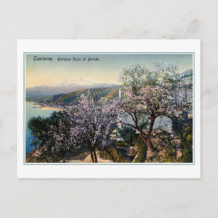 Cartão Postal Vintage Sicília Jardim Duque de Bronte (Lord Nelso