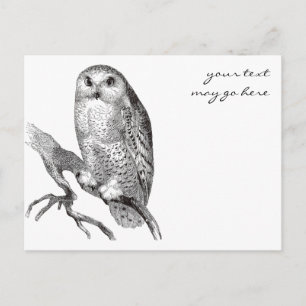 Cartão postal Vintage Snowy Owl