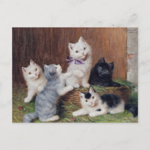 Cartão Postal Vintage Sophie Sperlich Kittens