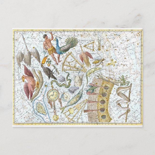Cartão Postal Vintage Southern Sky Constellets Celestial Map (Frente)