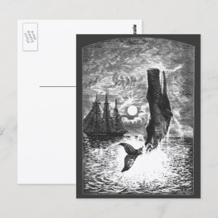 Cartão Postal Vintage Sperm Whale Breaking, Animais Marinhos