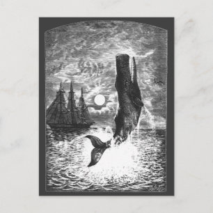 Cartão Postal Vintage Sperm Whale Breaking, Animais Marinhos