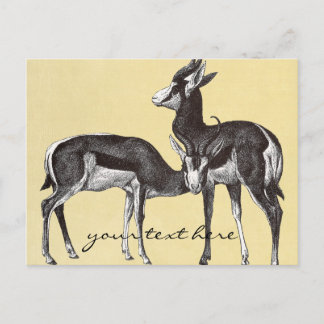 Cartão postal Vintage Springbok