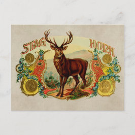 Cartão Postal Vintage Stag Horn