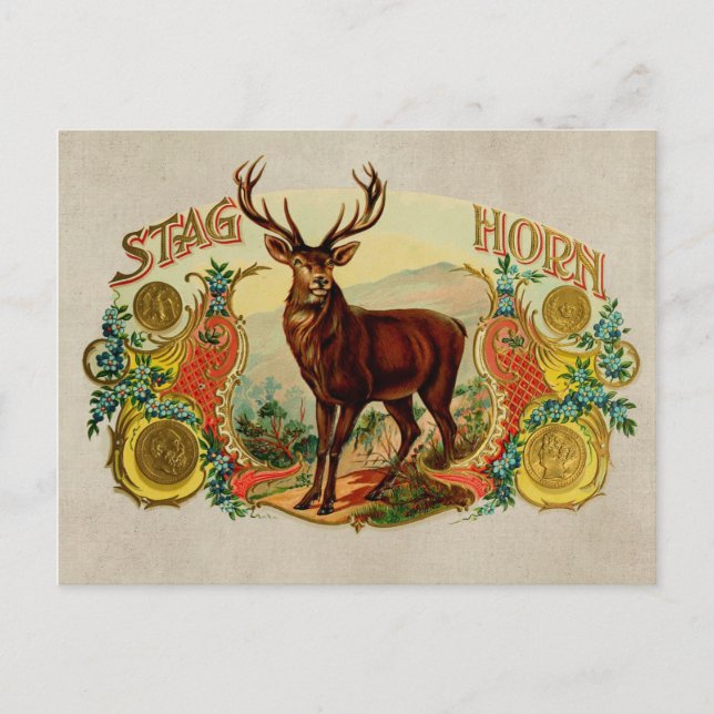 Cartão Postal Vintage Stag Horn (Frente)