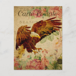 Cartão Postal Vintage Style Bald Eagle Carte Francês Postale
