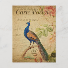Cartão Postal Vintage Style Peacock - Carte de Francês Postale