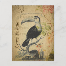 Cartão Postal Vintage Style Toucan French Carte Postale