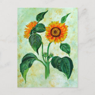 Cartão Postal Vintage Sunflower