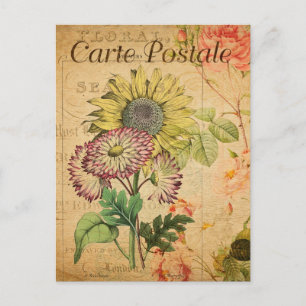 Cartão Postal Vintage Sunflower Floral Flowers French