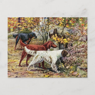 Cartão Postal Vintage Three Irish Setters