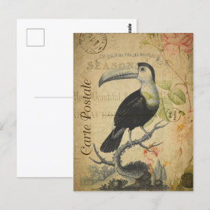 Cartão Postal Vintage Toucan Bird