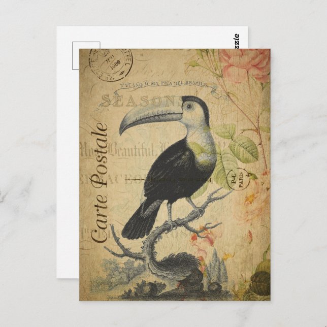 Cartão Postal Vintage Toucan Bird (Frente/Verso)