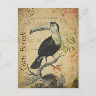 Cartão Postal  Vintage Toucan Bird Pink Roses Floral French