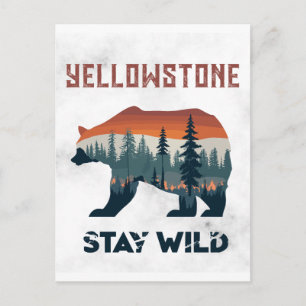 Cartão Postal Vintage Urso Pardo de Yellowstone Fique Selvagem