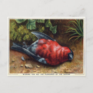 Cartão Postal Vintage Victorian Morto Bird Natal