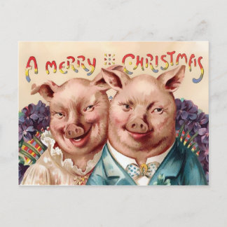 Cartão Postal Vintage Victorian Pigs Christmas