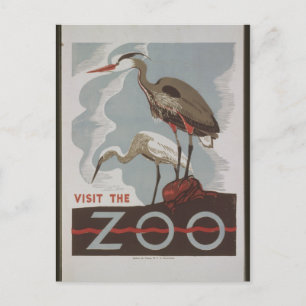 Cartão Postal Vintage Visite o Zoo