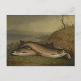 Cartão Postal Vintage Walter Brackett Trout