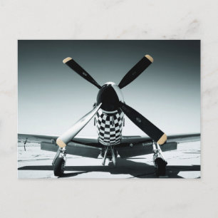 Cartão Postal Vintage War Bird
