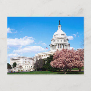 Cartão postal Vintage Washington DC