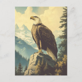 Cartão Postal Vintage Weisskopfseeadler Alaska Postkarte