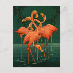 Cartão Postal Vintage Wild Animal Birds, Tropical Pink Flamingos