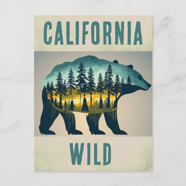 Cartão Postal Vintage Wild California Bear Viagem (Frente)