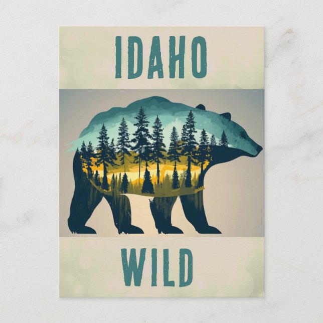 Cartão Postal Vintage Wild Idaho Bear Viagem (Frente)
