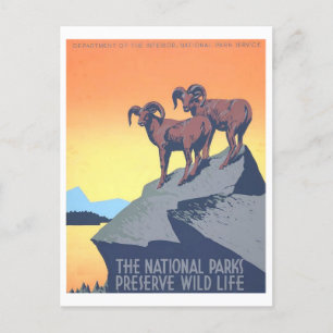 Cartão Postal Vintage WPA Poster: Cartão-postal Wild Life