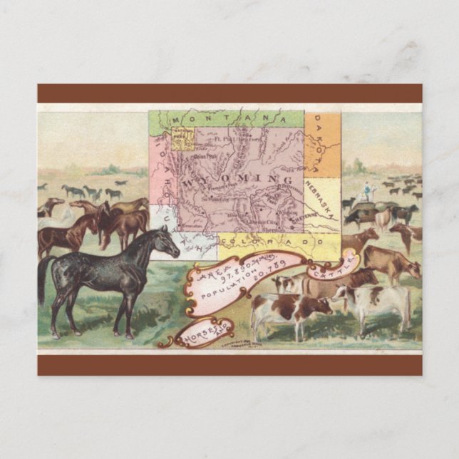 Cartão Postal Vintage Wyoming Map (Frente)