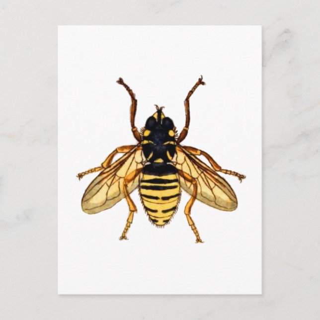 Cartão Postal Vintage Yellow Bee (Frente)