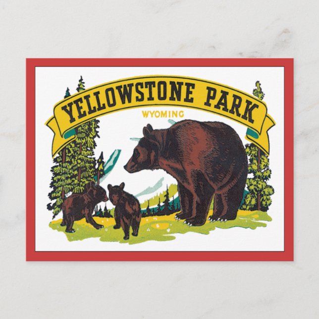 Cartão Postal Vintage Yellowstone Park Wyoming EUA (Frente)