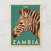 Vintage Zambia Zebra Viagem