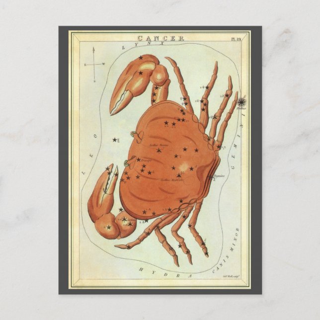 Cartão Postal Vintage Zodiac Astrology Cancer Caranguejo Constel (Frente)