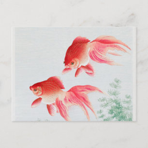 Cartão Postal Vintagem de dois peixes-dourados do véu