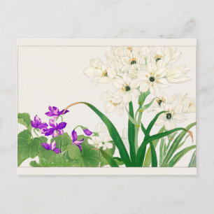 Cartão Postal Viola, flor de estrela árabe de Tanigami Konan