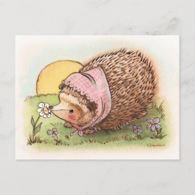 Cartão Postal Violet the Hedgehog (Frente)