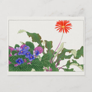 Cartão Postal Violeta africana, Gerbera por Tanigami Konan