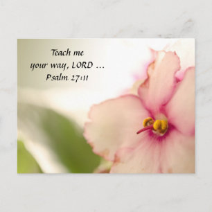 Cartão Postal Violetas difusas