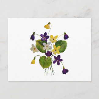 Cartão Postal Violetas Selvagens Assortadas Feitas em Bordados d
