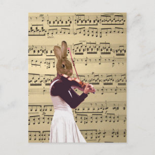 Cartão Postal Violinista de coelho engraçado